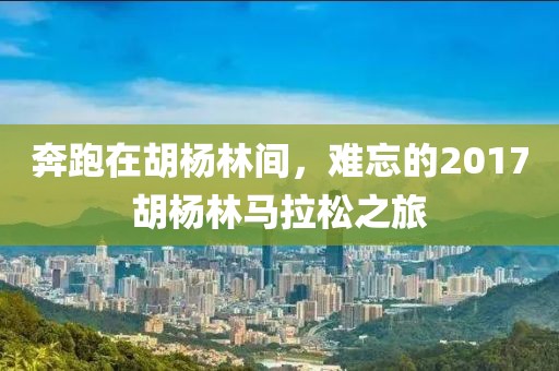 奔跑在胡杨林间，难忘的2017胡杨林马拉松之旅