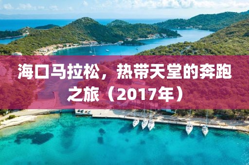 海口马拉松，热带天堂的奔跑之旅（2017年）