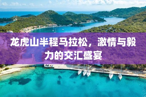 龙虎山半程马拉松，激情与毅力的交汇盛宴