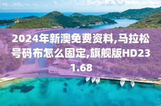 2024年新澳免费资料,马拉松号码布怎么固定,旗舰版HD231.68