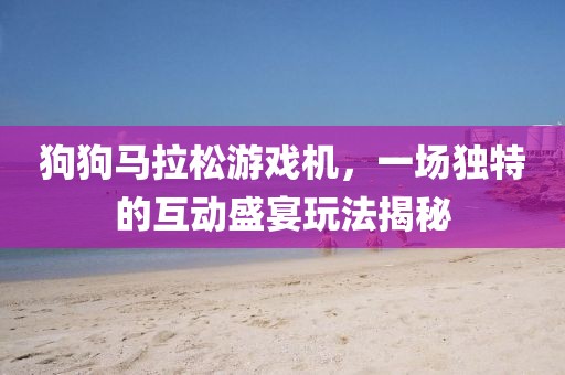 狗狗马拉松游戏机，一场独特的互动盛宴玩法揭秘
