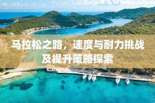 马拉松之路，速度与耐力挑战及提升策略探索