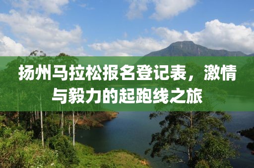 扬州马拉松报名登记表，激情与毅力的起跑线之旅