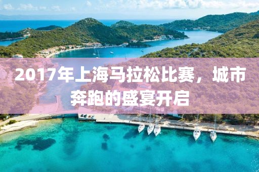 2017年上海马拉松比赛，城市奔跑的盛宴开启