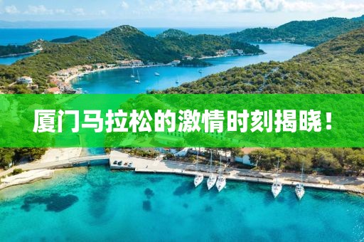 厦门马拉松的激情时刻揭晓！