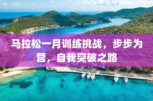马拉松一月训练挑战，步步为营，自我突破之路