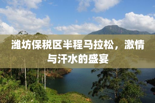潍坊保税区半程马拉松，激情与汗水的盛宴