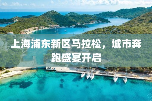 上海浦东新区马拉松，城市奔跑盛宴开启