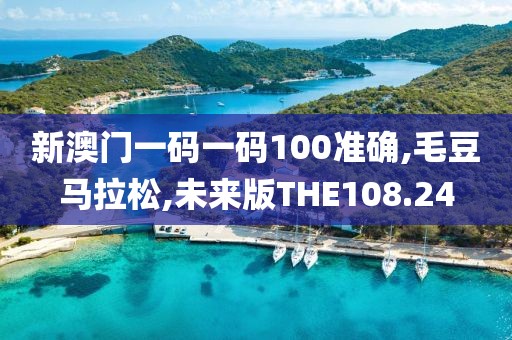 新澳门一码一码100准确,毛豆马拉松,未来版THE108.24