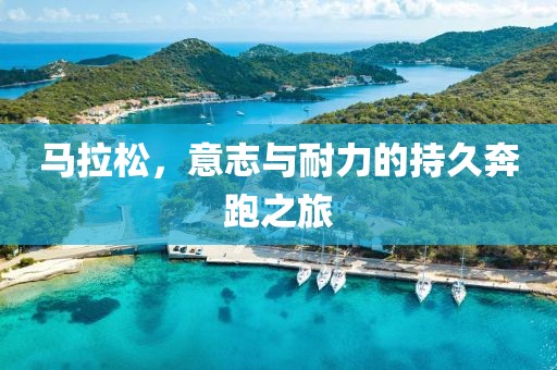 马拉松，意志与耐力的持久奔跑之旅