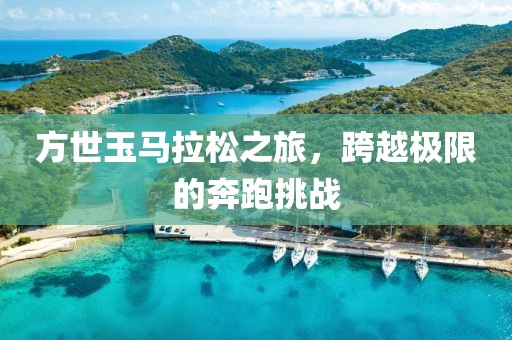 方世玉马拉松之旅，跨越极限的奔跑挑战