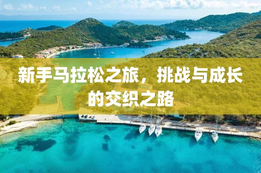 新手马拉松之旅，挑战与成长的交织之路