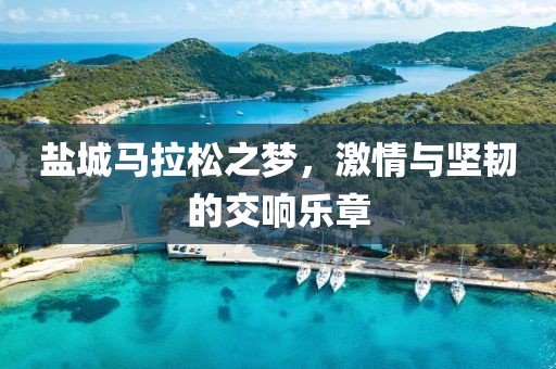 盐城马拉松之梦，激情与坚韧的交响乐章