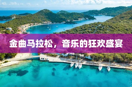 金曲马拉松，音乐的狂欢盛宴