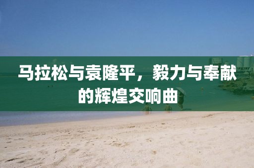 马拉松与袁隆平，毅力与奉献的辉煌交响曲