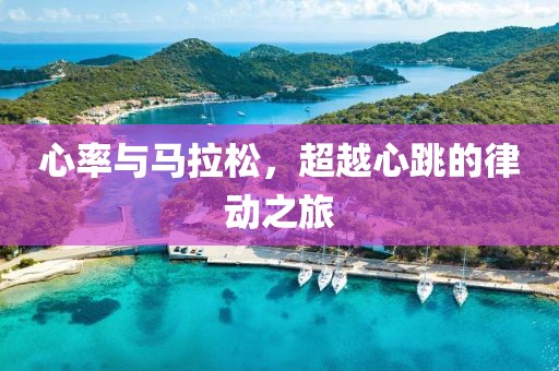心率与马拉松，超越心跳的律动之旅
