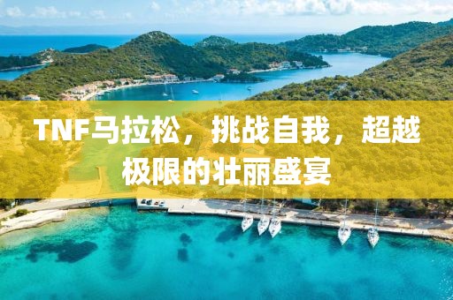 TNF马拉松，挑战自我，超越极限的壮丽盛宴