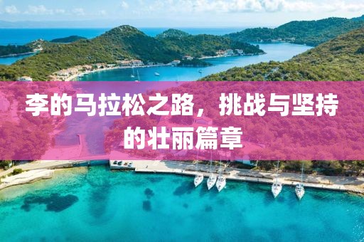 李的马拉松之路，挑战与坚持的壮丽篇章