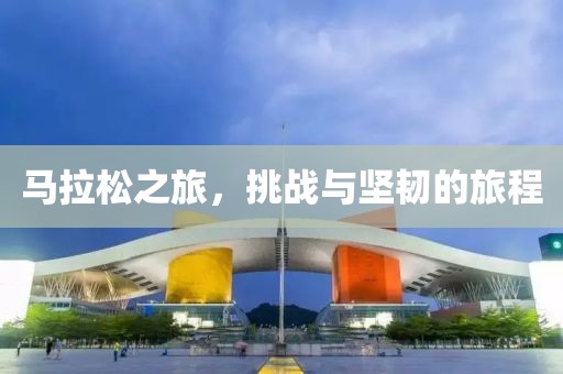 马拉松之旅，挑战与坚韧的旅程