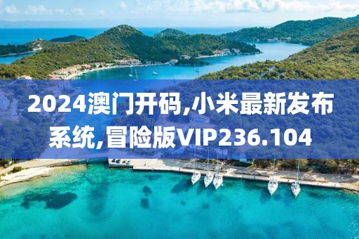 2024澳门开码,小米最新发布系统,冒险版VIP236.104