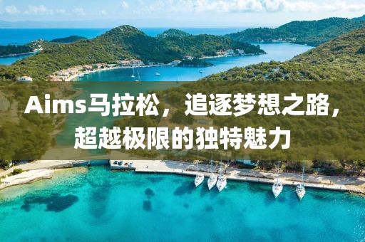 Aims马拉松，追逐梦想之路，超越极限的独特魅力
