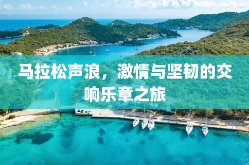 马拉松声浪，激情与坚韧的交响乐章之旅