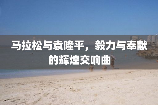 马拉松与袁隆平，毅力与奉献的辉煌交响曲
