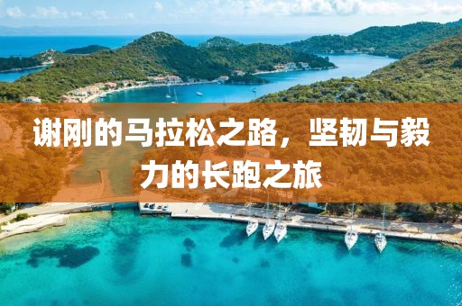 谢刚的马拉松之路，坚韧与毅力的长跑之旅