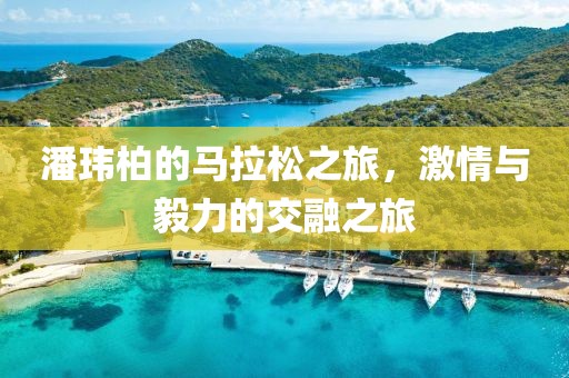 潘玮柏的马拉松之旅，激情与毅力的交融之旅