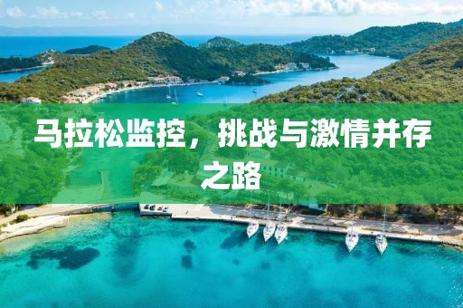 马拉松监控，挑战与激情并存之路