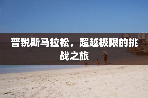 普锐斯马拉松，超越极限的挑战之旅