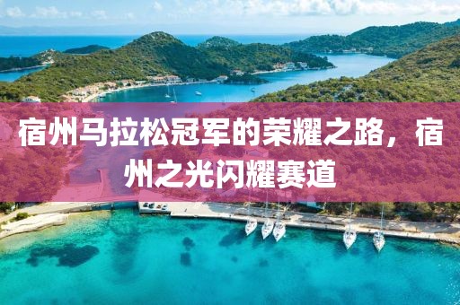 宿州马拉松冠军的荣耀之路，宿州之光闪耀赛道