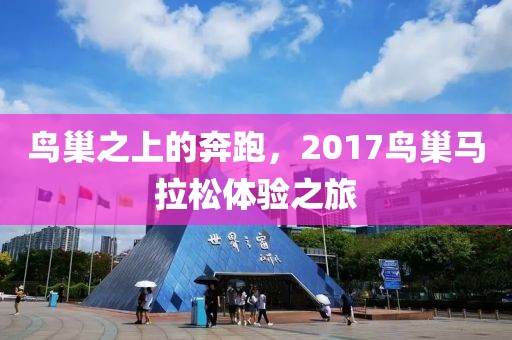 鸟巢之上的奔跑，2017鸟巢马拉松体验之旅
