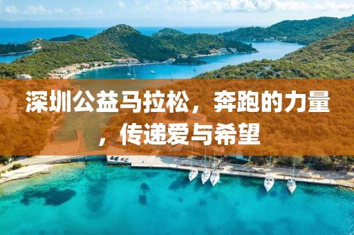 深圳公益马拉松，奔跑的力量，传递爱与希望