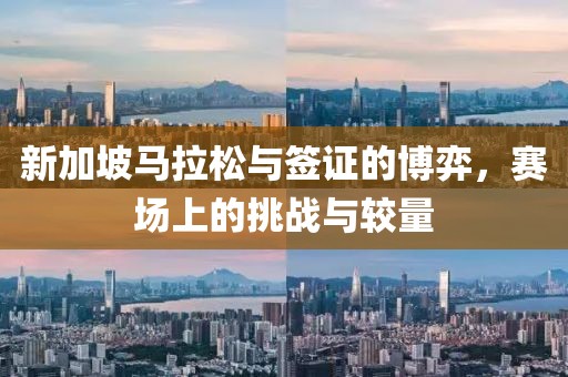 新加坡马拉松与签证的博弈，赛场上的挑战与较量