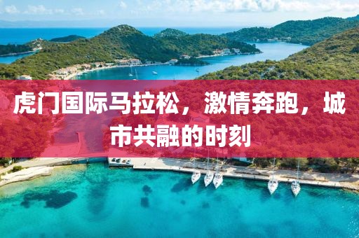 虎门国际马拉松，激情奔跑，城市共融的时刻