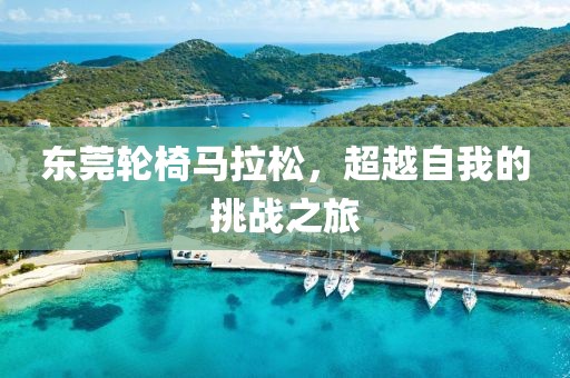 东莞轮椅马拉松，超越自我的挑战之旅