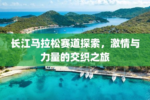 长江马拉松赛道探索，激情与力量的交织之旅