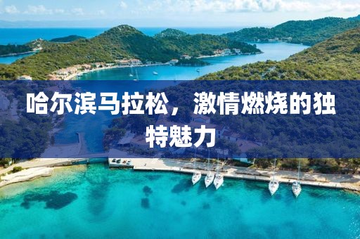 哈尔滨马拉松，激情燃烧的独特魅力