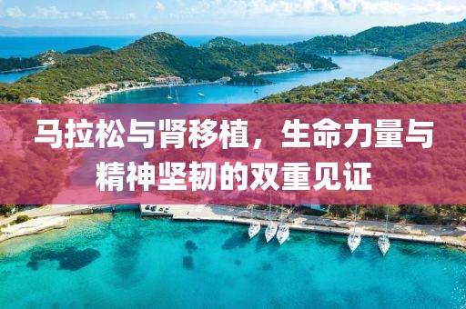 马拉松与肾移植，生命力量与精神坚韧的双重见证
