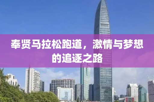 奉贤马拉松跑道，激情与梦想的追逐之路