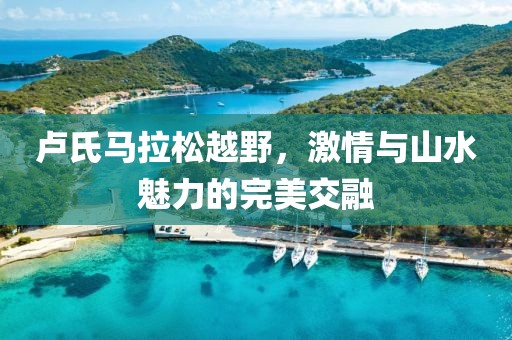 卢氏马拉松越野，激情与山水魅力的完美交融