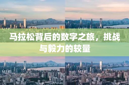 马拉松背后的数字之旅，挑战与毅力的较量