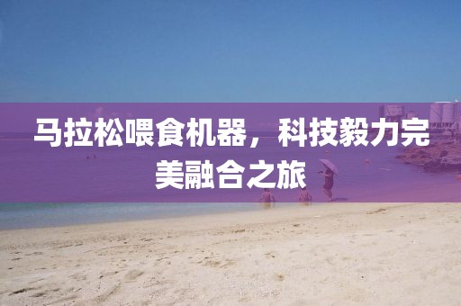 马拉松喂食机器，科技毅力完美融合之旅