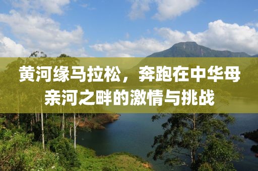 黄河缘马拉松，奔跑在中华母亲河之畔的激情与挑战