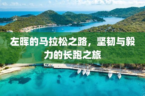 左晖的马拉松之路，坚韧与毅力的长跑之旅