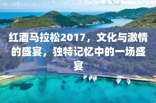 红酒马拉松2017，文化与激情的盛宴，独特记忆中的一场盛宴