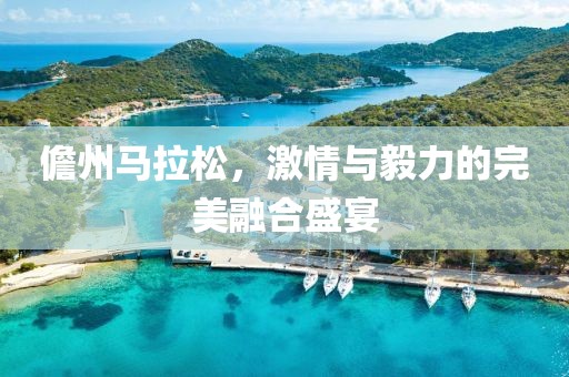 儋州马拉松，激情与毅力的完美融合盛宴