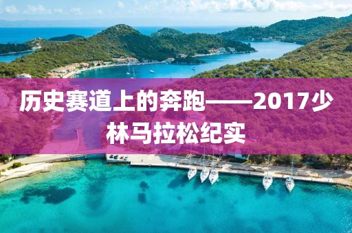 历史赛道上的奔跑——2017少林马拉松纪实
