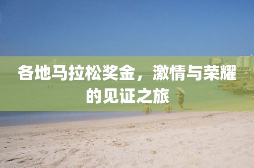 各地马拉松奖金，激情与荣耀的见证之旅